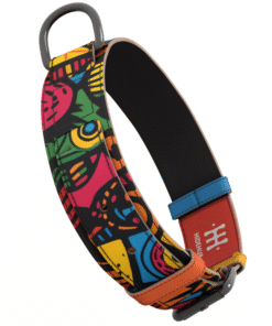 Ogrlica za kućne ljubimce - Grafiti